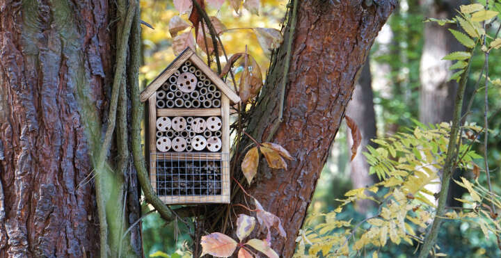 Insektenhotel mit geflämmtem  Holz